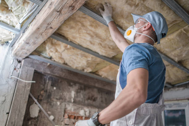 Best Cellulose Insulation in Washington, UT