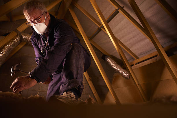Best Geographic-Specific Insulation Services in Washington, UT